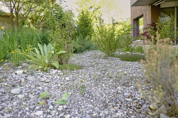 Natürlicher Gehweg eines ökologisch gestalteten Gartens.