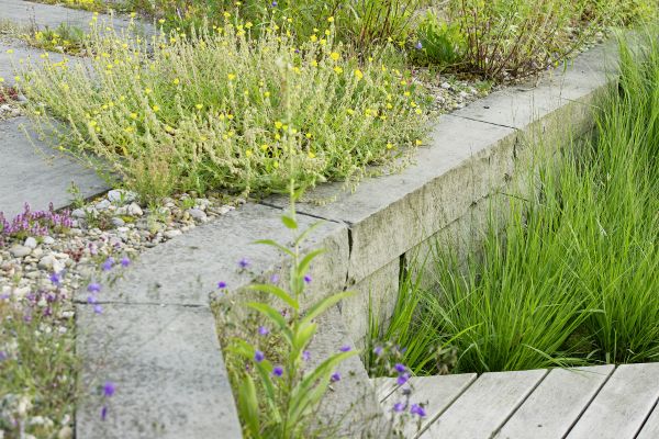 Stützmauer und Pflanzen einer naturnahen Gartengestaltung.