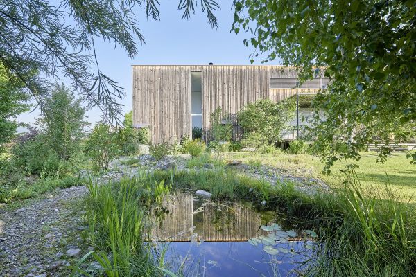 Teich und Gartenhaus im Naturgarten.