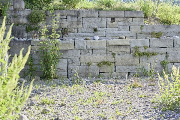 Mauer im Biogarten