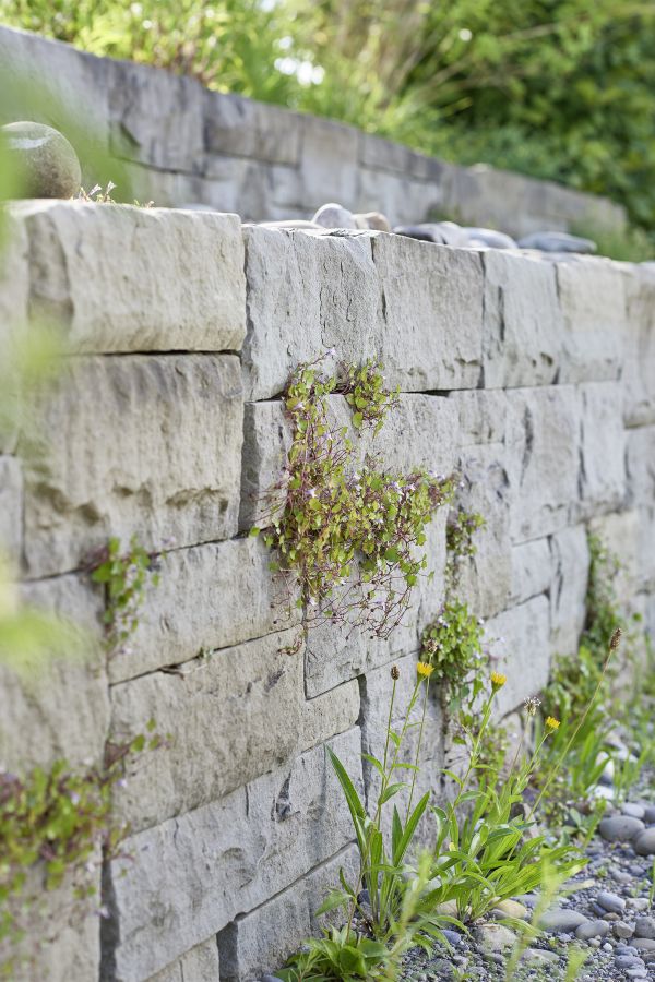 Mauer im Naturgarten.