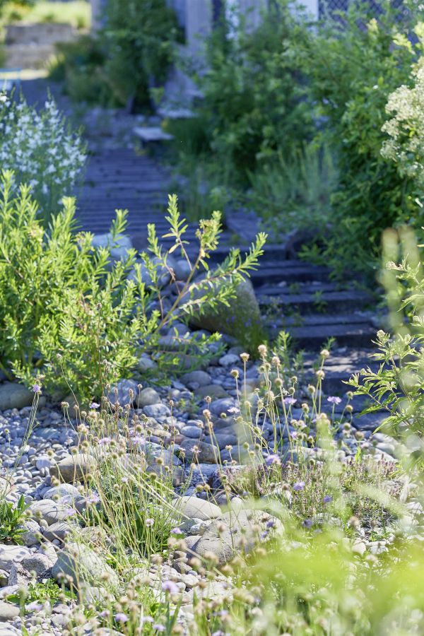 Treppe im ökologischen Garten.