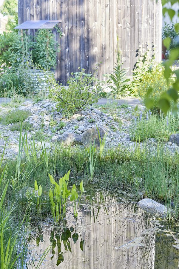 Teich und Gartenhaus im ökologischen Garten.