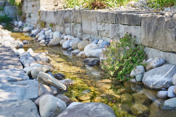 Wasserlauf im Naturgarten.
